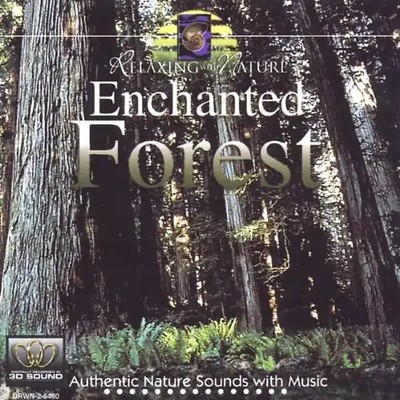 Howard Donenfeld - Enchanted Forest