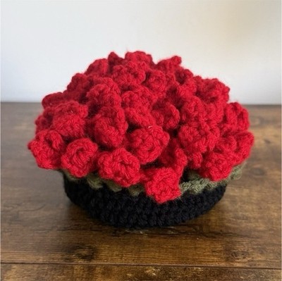 Handmade Floral Crochet Coaster Set with Holder, Red Black Green Yarn, 5pcs