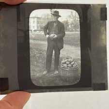 Antiguo Plato de Vidrio Linterna Diapositiva Foto Hombre con Cesta de Patatas Granja