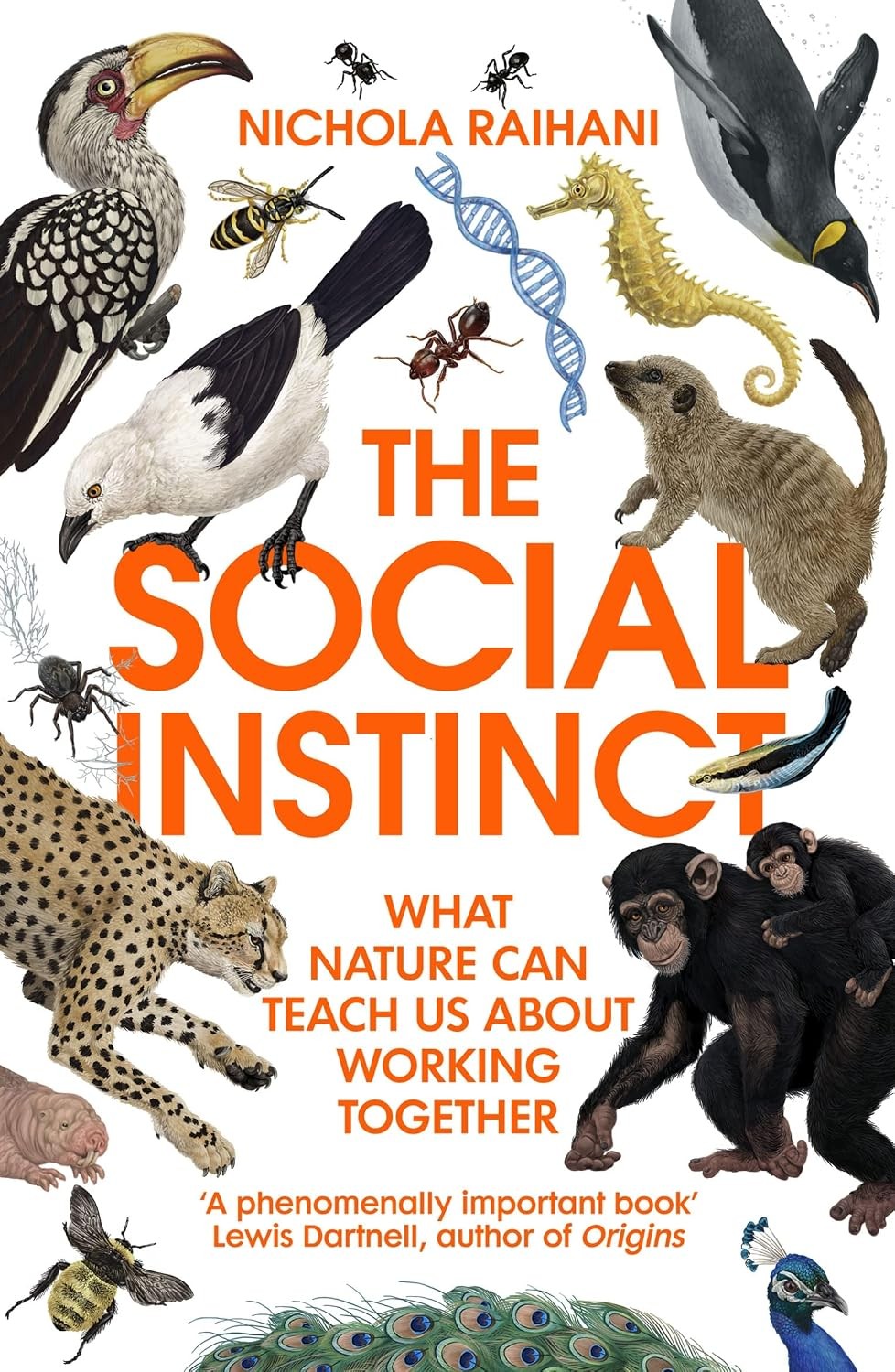 Social Instinct - Image 6
