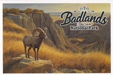 Badlands National Park South Dakota Art Poster Postcard