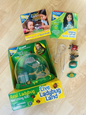 Lady Bug Land Dome Insect Lore Lady Bug Life Cycle figures, No certificate/cap