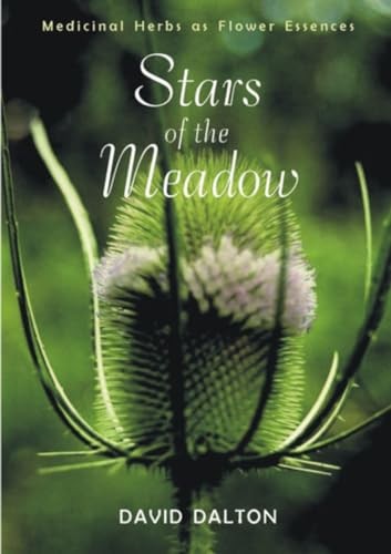 Stars of the Meadow by David Dalton - - Image 6