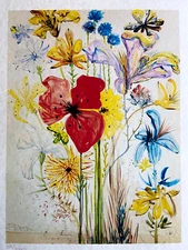 Salvador Dalí Lithograph COA Original Signed Numbered In Pencil