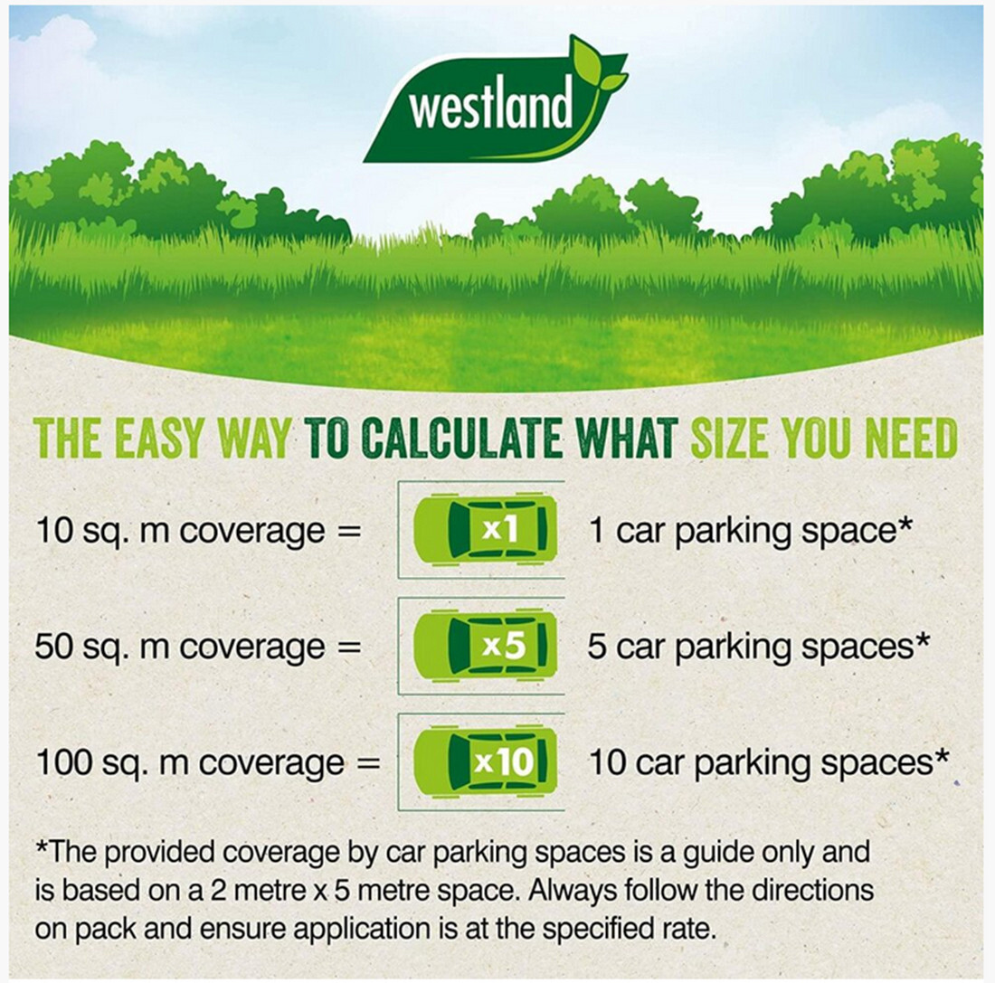 100sqm Westland Aftercut Lawn Thickener Feed And Seed 3.5Kg eBay