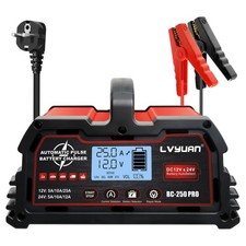Auto LKW Intelligent Batterieladeger�t 25A 12V/24V Ladeger�t Reparatur Rot