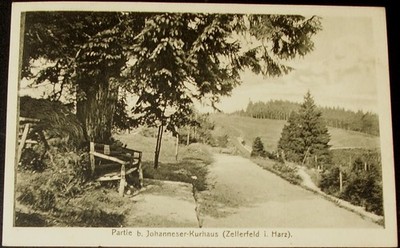 Clausthal-Zellerfeld Harz 1915 Partie am Johanneser Kurhaus Goslar