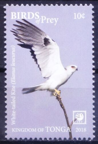 Tonga 2018 MNH, White tailed Kite, Falcons, Birds of Prey, Michel TO 2219