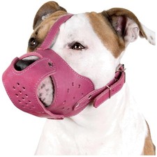 Adjustable Basket Muzzle for Staffordshire Te...