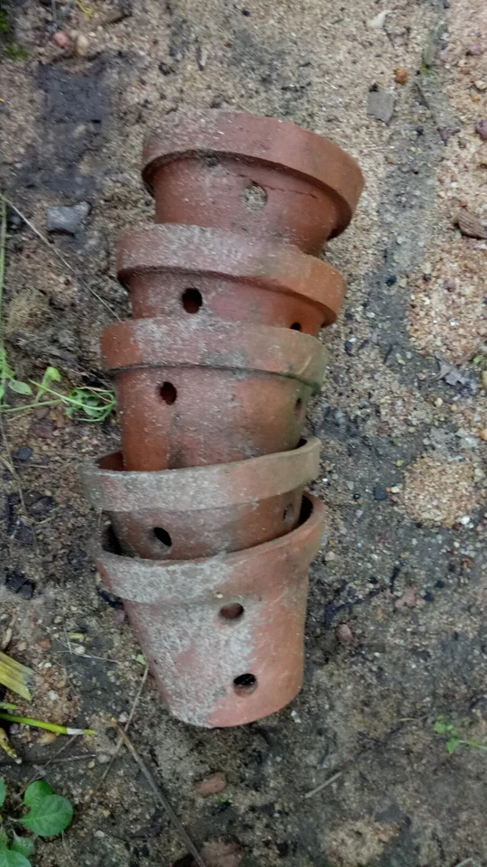 Fresh pure Natural  Clay Flower pots  Beautiful plants  New - Image 3 of 4