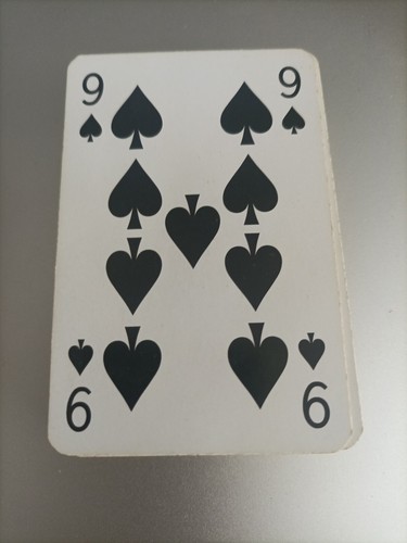 Lot De 2 Jeux De Cartes A Jouer Dans Un Coffret, Flower Gardent, Piatnik - Photo 5/9