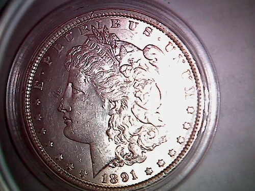 1891 P Morgan Dollar $1 US Mint Rare Date Gem Silver Coin 1891-P  MS.  MN91P