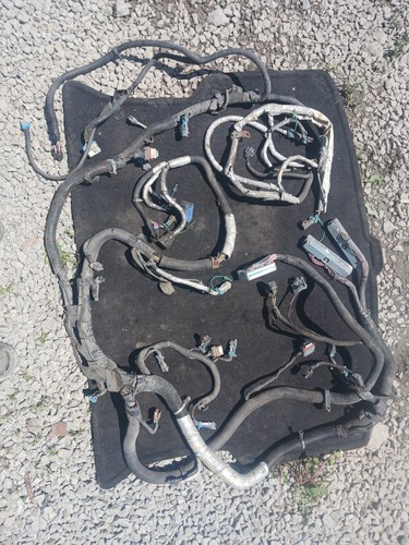 07-09 Express/Savana 4.8/6.0L 2WD Engine Harness