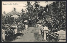 Jamaica, On the road to Castleton, Ansichtska...