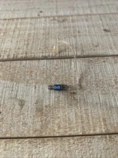 Phonak 5.0 MEDIUM POWER 2-Pin Receiver 2xS Blue