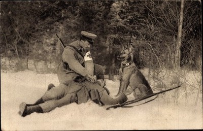 Postcard Medical Dog Troll has tracked down a wounded man, paramedic,... - 10579267