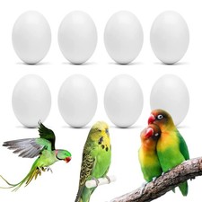 WOLEDOE 8Pcs Fake Bird Eggs, Stop Egg Laying fit Bourkes Parrot, Lovebird,...