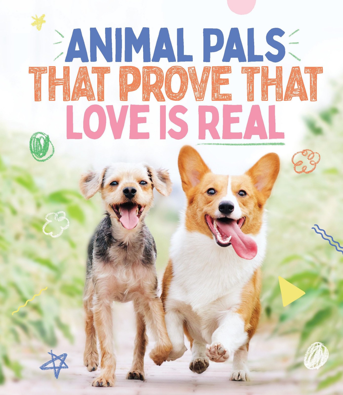 Animal Pals That Prove That Love Is Real. Books 9781922754165 Free Shipping**