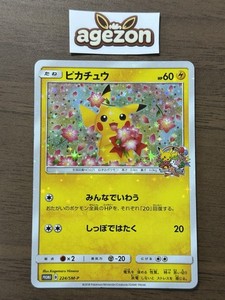 Pikachu 224 Sm P | eBay