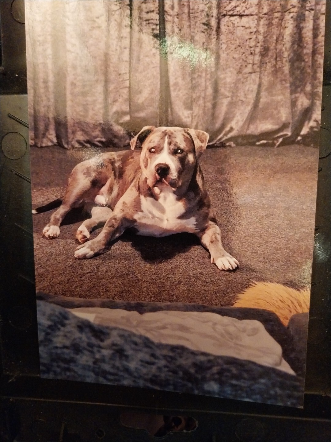 Picture 6 of 8