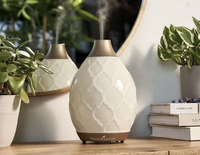 Desert 2024 mist diffuser