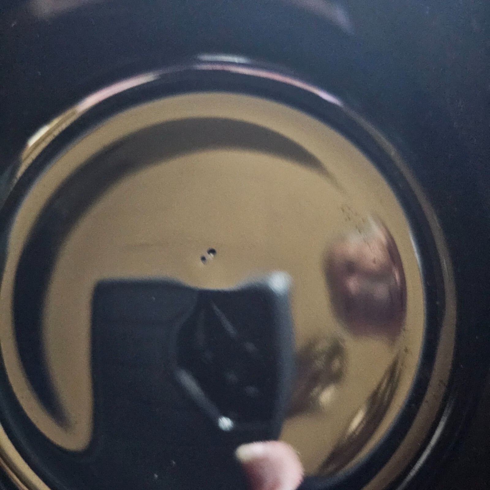 Picture 4 of 4