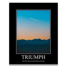 Triumph Demotivational Poster Funny Wall Art Poster Print Artwork Decor Office