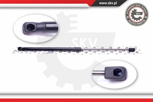 Gasfeder DäMpfer Heckklappe Beidseitig Fahrzeugheckklappe FüR CitroëN C4-image
