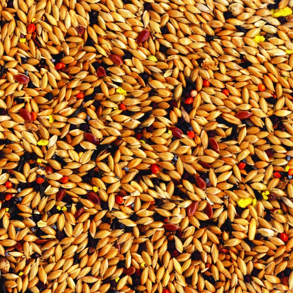 EXOTIC BIRD FOOD PARROT Food, CANARY Food, BUDGIE Food, COCKATIEL