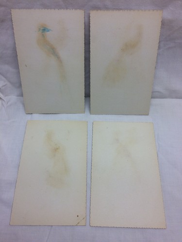 Vtg Watercolor Real feather Birds lot of 4 Colorful Asian For Framing Art Bird - Picture 9 of 12