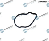 Dr. Motor Automotive DRM01953 Dichtung,Einspritzpumpe FüR Ford,Ford Usa,Jaguar,