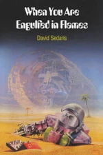 When You Are Engulfed in Flames - Paperback By Sedaris, David - GOOD