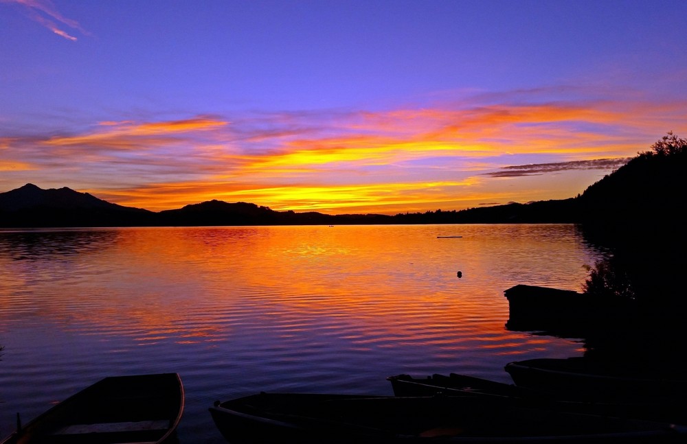 Art Beautiful Sunset over Lake. Oil Painting Giclee Print Canvas