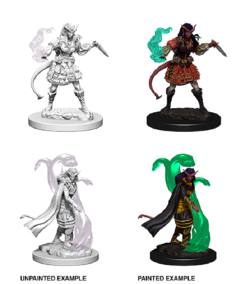 D&D Icons of the Realms Prepainted Miniature Aspect of Tiamat – Legacy Distribution