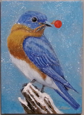Bluebird Christmas Bird Original Winter Painting by Chris Miller 5x7 Signed