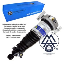 Audi Q7 (4L) Federbein hinten links Luftfederung 7L6616019 