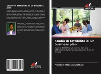 Melaku Tafese Awulachew | Studio Di Fattibilità Di Un Business Plan | Buch
