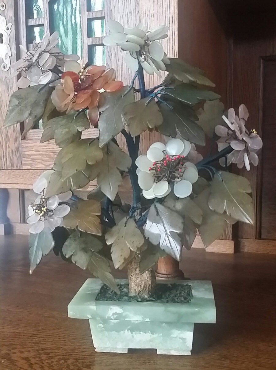Picture 12 of 12