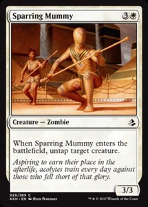 Sparring Mummy x4 - Amonkhet - NM-Mint, English - Amonkhet