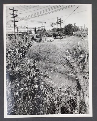 1968 Charlotte NC Sugar Creek Power Station 7th & Elizabeth Vintage Press Photo