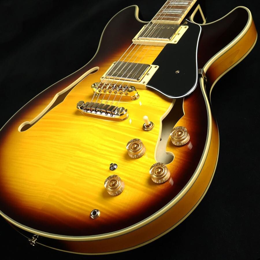Ibanez JSM10EM [Semi-Acoustic] John Scofield Model | eBay