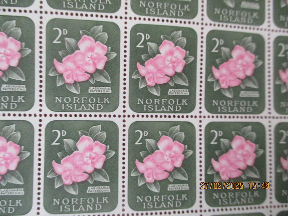 Isla Norfolk 1960 - Flor 2d - U/M MNH Hoja Completa de 60 - SG25 Foto 2 de 3