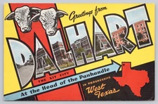Vintage Greetings from Dalhart Texas XIT City Postcard West Texas