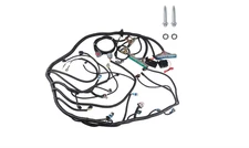 Standalone Wiring Harness, 4L60E DBW Compatible with 1997-2004 GM DBW LS1 Vor...