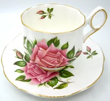 Rosina English Roses Bone China Tea Cup & Saucer - England
