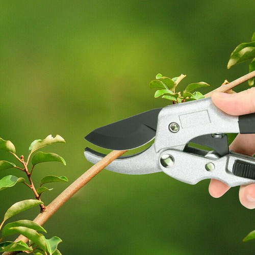 Pruning Shears 8 inch Gardening Pruner Garden Scissors Garden Ratchet Clippers - Picture 3 of 12