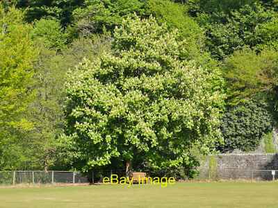 Photo 12x8 Bridgetown : Cricket Ground The cricket ground at Bridgetown, l c2020