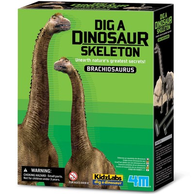 4M KidzLabs Dig a Brachiosaurus Skelett