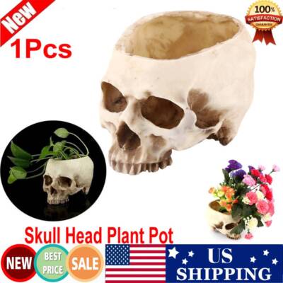 Skull Planter Pot Gothic Home Decor Skulls Plant Pots Indoor Flower Home Decor