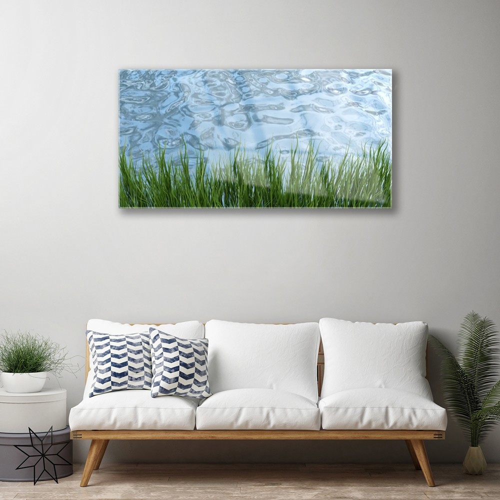 Tableau verre moderne 100x50 | Solution déco murale Nature Eau Herbe